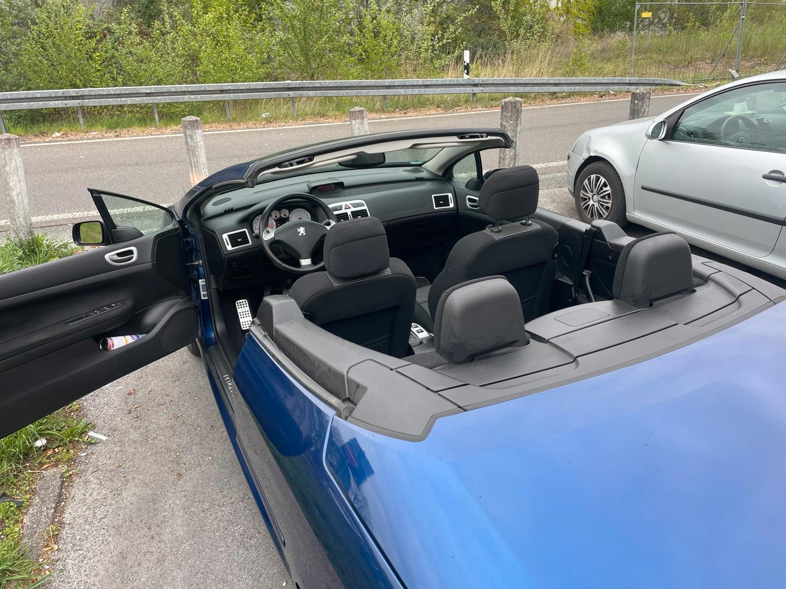 Abbildung des Autos Peugeot 307