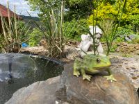 Frosch Kröte Froschkönig Deko Teich Teich Gartenfigur Laubfrosch Rheinland-Pfalz - Waldbreitbach Vorschau