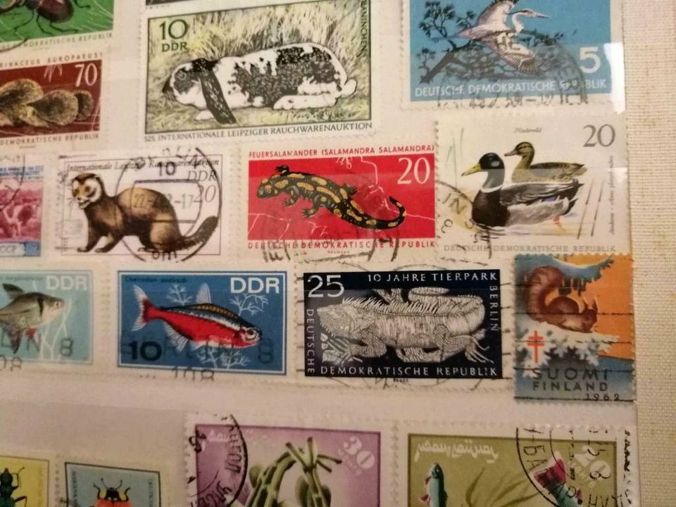 Briefmarken Sammlung Teil 2 Tier Motive in Berlin