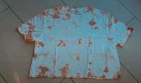T-Shirt. M. Only Niedersachsen - Lübberstedt Vorschau