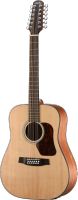 Westerngitarre / Folkgitarre, 12-Saiter Dreadnought, Walden, NEU Hamburg - Bergedorf Vorschau