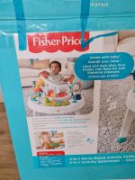 *** Fisher Price Activity Center *** Niedersachsen - Bassum Vorschau