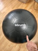 Minirub Gymball Bayern - Unterhaching Vorschau
