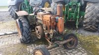 Vierzon S 204 Glühkopf Oldtimer Traktor Bulldog Lanz Nordrhein-Westfalen - Borken Vorschau