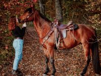 Pflegebeteiligung (Pferd sucht Mensch) Baden-Württemberg - Keltern Vorschau