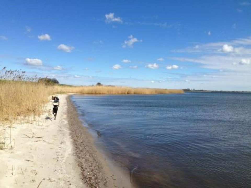 Ferienhaus am Strelasund, Rügen, 5 Pers, 3000m² Garten Hund Zaun in Poseritz