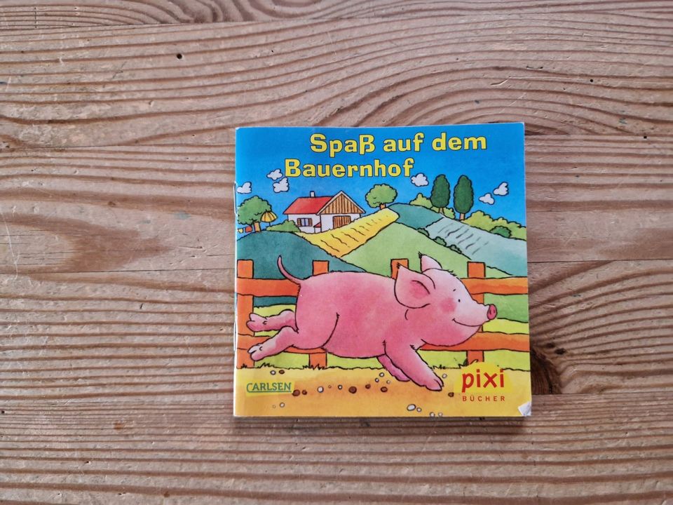 Pixi Bücher Sammlung Teil 1 in Rötgesbüttel