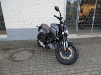 Neufahrzeug Motorrad MotoBi DL 125 Grau Nordrhein-Westfalen - Horn-Bad Meinberg Vorschau