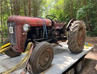 IMT 533 ähnlich Massey Ferguson MF 35 Scheunenfund Brandenburg - Groß Köris Vorschau