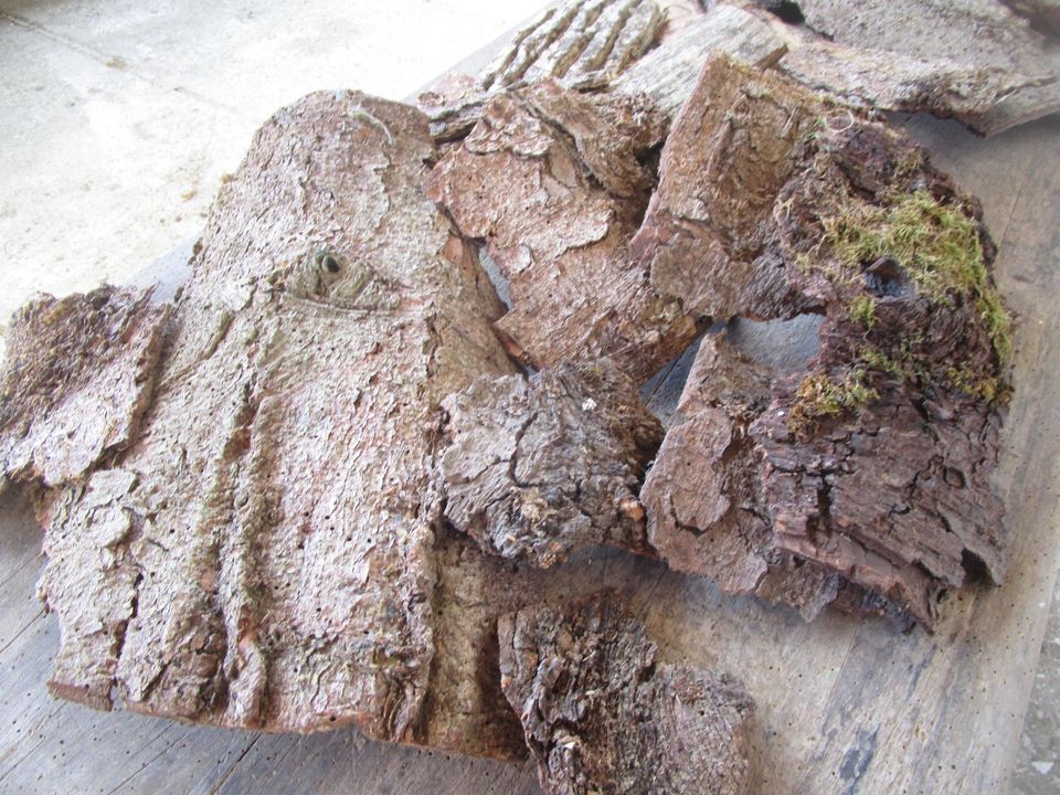 getrocknete Baumrinde in Wolnzach