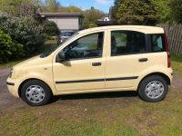 Fiat Panda 1.2 Schleswig-Holstein - Neumünster Vorschau