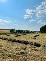 Heu ab Feld 2024 Heuballen Quaderballen Rundballen Baden-Württemberg - Ostrach Vorschau