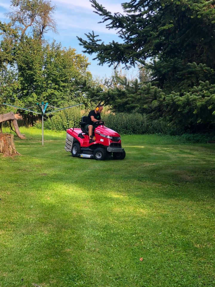 Gartenarbeit Gartenpflege Rasen mähen Rasenmäher in Rheda-Wiedenbrück