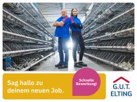 Technischer Fachberater (m/w/d) (G.U.T. ELTING) in Dülmen Technik Hausverwaltung Haushandwerker technischer Hausmeister Nordrhein-Westfalen - Dülmen Vorschau