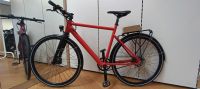 E-Bike BZEN Milano E-Bike Riemenantrieb/Heckmotor Bayern - Zachenberg Vorschau