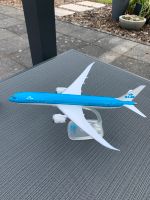 KLM Flugzeug Boeing 787-9 Rheinland-Pfalz - Lemberg Vorschau