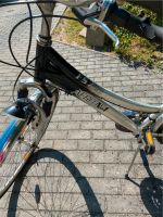 Damenfahrrad Brandenburg - Tröbitz Vorschau