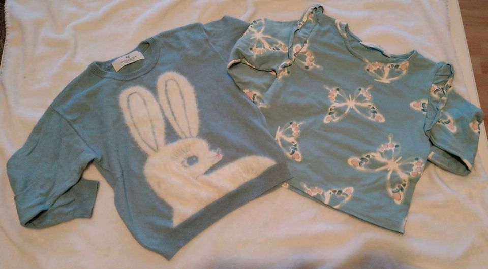 Sweatshirt / Langarmshirt Hase H&M 98/104 in Hamburg