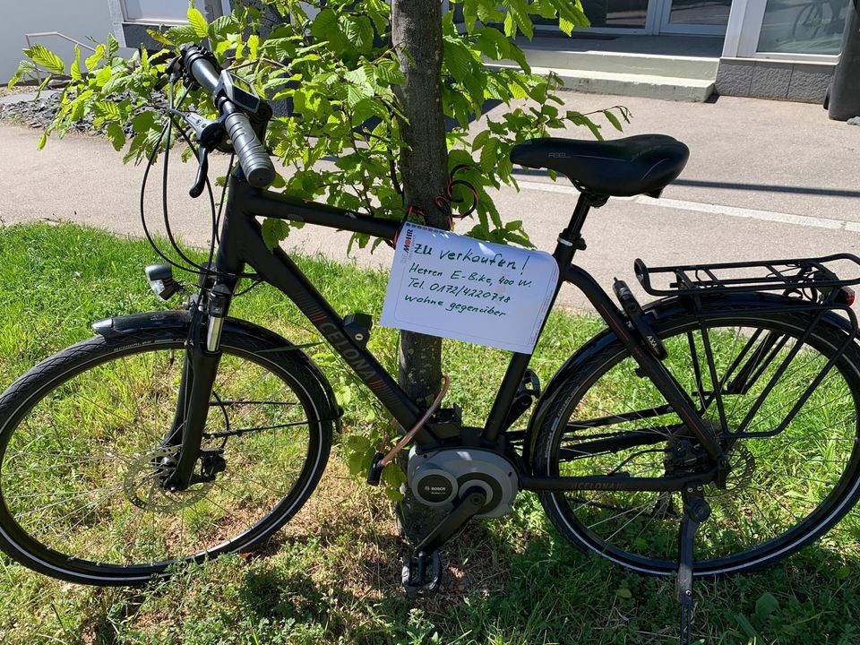 E Bike Herren Bosch Celona City / Touring granitegrey 55 cm TOP in Gerlingen