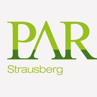 Physiotherapeutin/Physiotherapeut/ (m/w/d) Brandenburg - Strausberg Vorschau