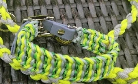 Mini Paracord Halsband Leine HU ab 19cm in Wittenborn