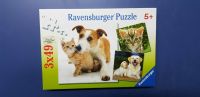 Ravensburger Kinderpuzzle-Set Hund und Katze 3x49 Teile Saarland - Großrosseln Vorschau