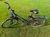 Pegasus Solero Disc - 28 Zoll - Trekking Fahrrad - Damen/Herren Niedersachsen - Uelzen Vorschau