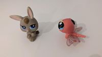 LPS Littlest petshop little pet shop Libelle Kaninchen Hase alt Nordrhein-Westfalen - Warburg Vorschau