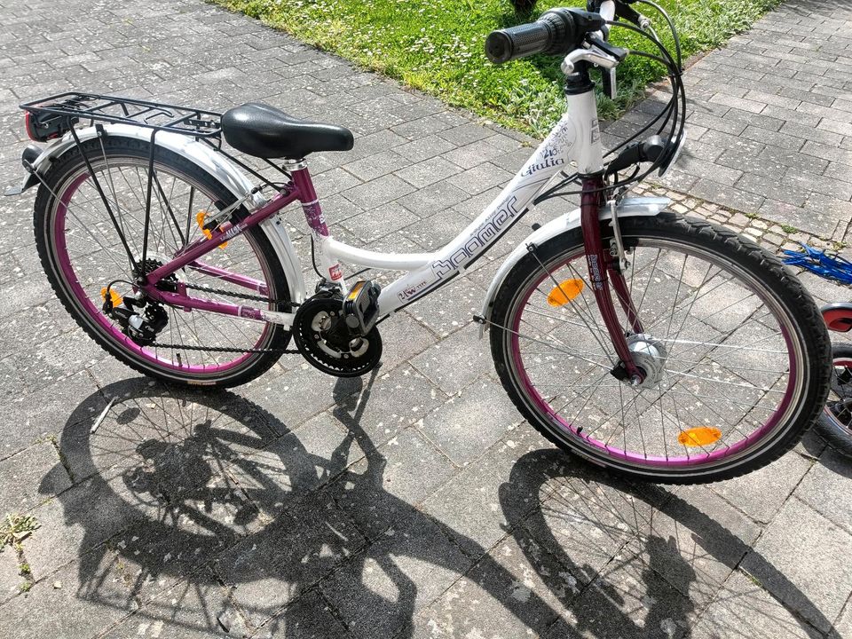 Mädchen 24 Zoll Fahrrad in Grolsheim