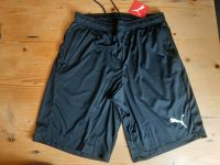 Puma Liga Training Shorts Gr. 48/50, 44/46 schwarz oder blau Nordrhein-Westfalen - Lindlar Vorschau