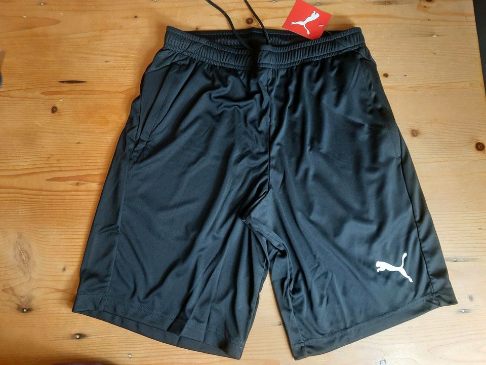 Puma Liga Training Shorts Gr. 48/50, 44/46 schwarz oder blau in Lindlar