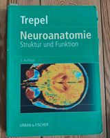 Neuroanatomie Trepel Kiel - Ravensberg-Brunswik-Düsternbrook Vorschau