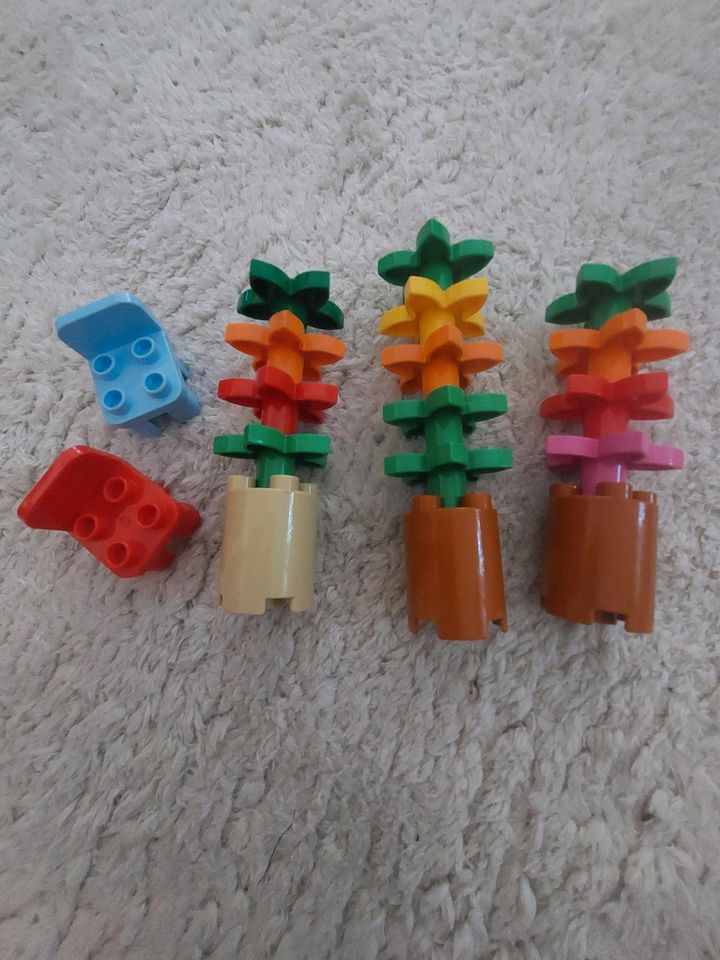 Lego Duplo Steine+Figuren in Rodgau