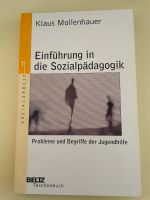 Klaus Kollenhauer Einführung in die Sozialpädagogik Bayern - Opfenbach Vorschau