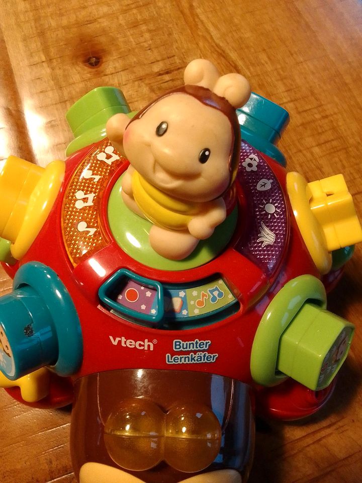 VTech Käfer Lernspielzeug in Grabfeld