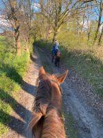 Reiten Pferd Kinder Parchim - Landkreis - Leezen MV Vorschau