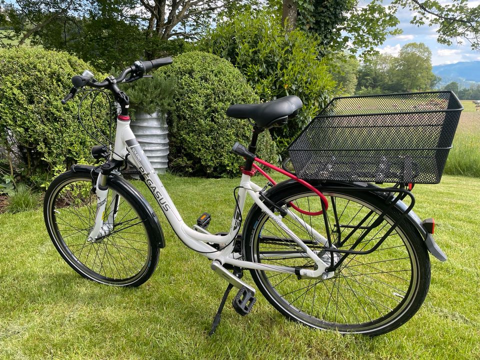 Fahrrad  Damen in Stegen