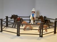 Playmobil Western Rancher mit Pferdekoppel Schleswig-Holstein - Geschendorf Vorschau
