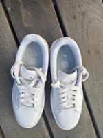 Sneaker Puma Alarmen Gr.38 Brandenburg - Panketal Vorschau