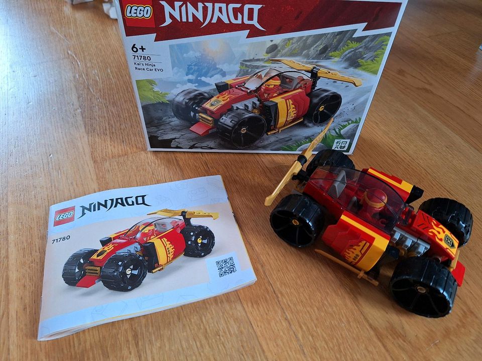 Lego Ninjago Konvolut in Nordkirchen