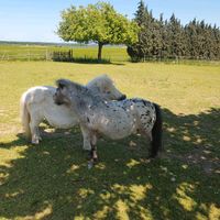 Pflegebeteiligung Thüringen - Kraftsdorf Vorschau