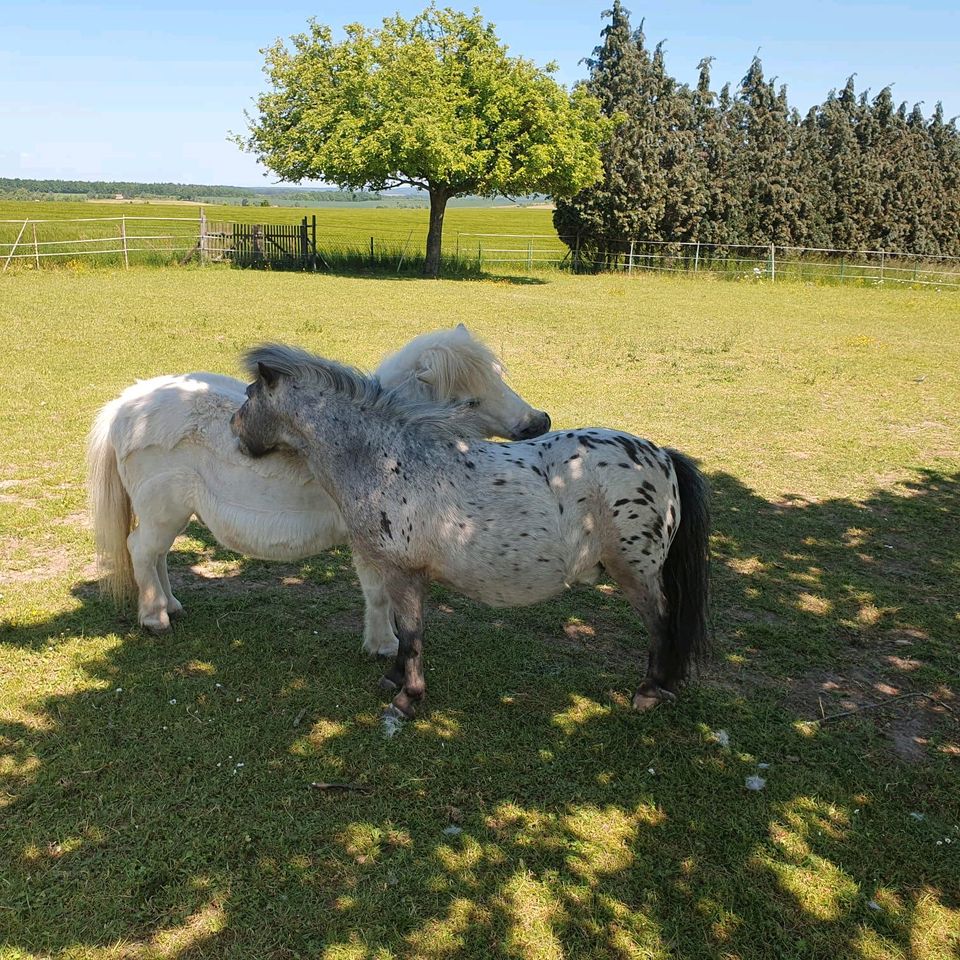 Pflegebeteiligung in Kraftsdorf