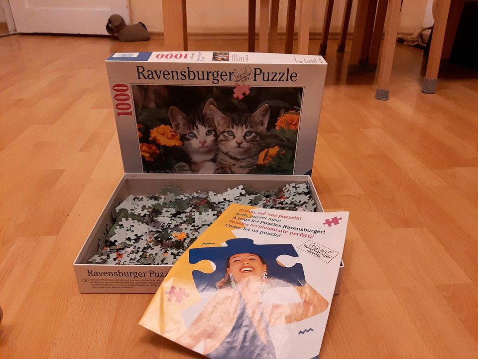 Katzenpuzzle in Berlin