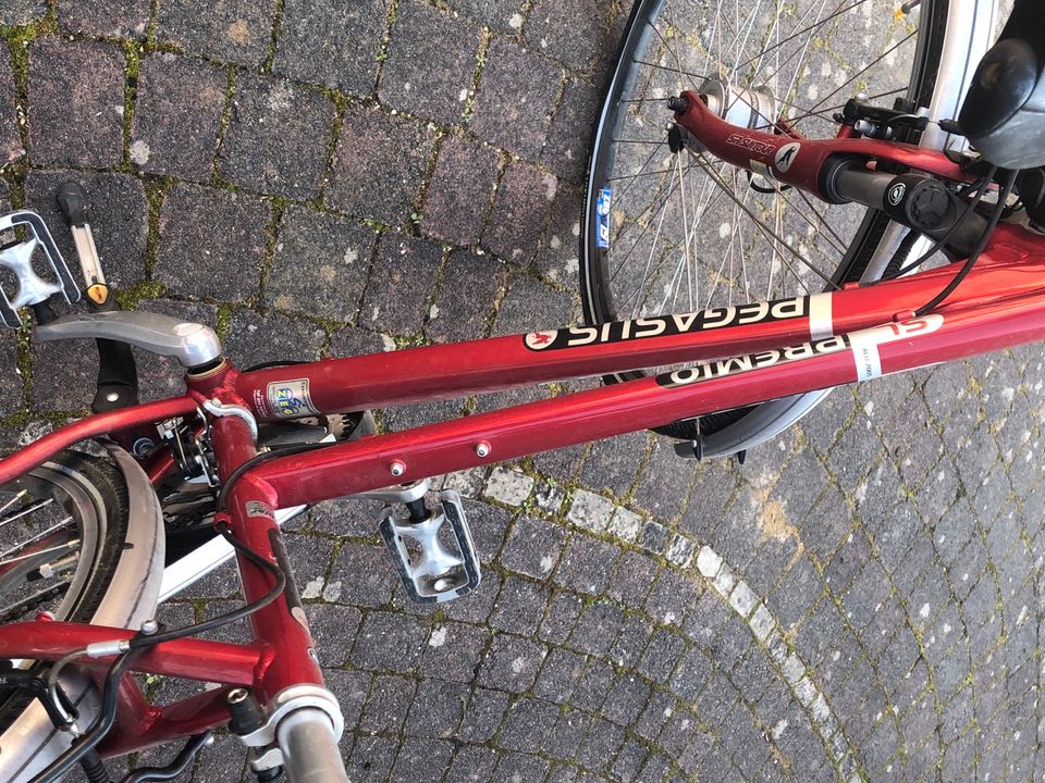 Pegasus Premio SL 28 Zoll Cityrad Fahrrad in Michelstadt