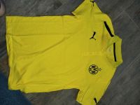 BVB Polo Shirt Größe M siehe Foto Hessen - Wartenberg Vorschau