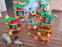 Lego Duplo 10906 Baumhaus im Dschungel neuwertig Bad Doberan - Landkreis - Bartenshagen-Parkentin Vorschau