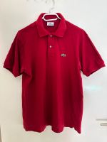 Lacoste polo rot Gr4 M Brandenburg - Frankfurt (Oder) Vorschau