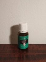 NEU Eucalyptus Radita young Living 15 ml noch zu haben Bayern - Ansbach Vorschau