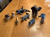 8 Schleich Tiere Elefant Wolf Orka Zebra Berlin - Hellersdorf Vorschau