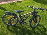 Cube 20 " Kinderfahrrad 7 Gang Nordrhein-Westfalen - Büren Vorschau